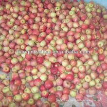 Pequeña manzana fuji